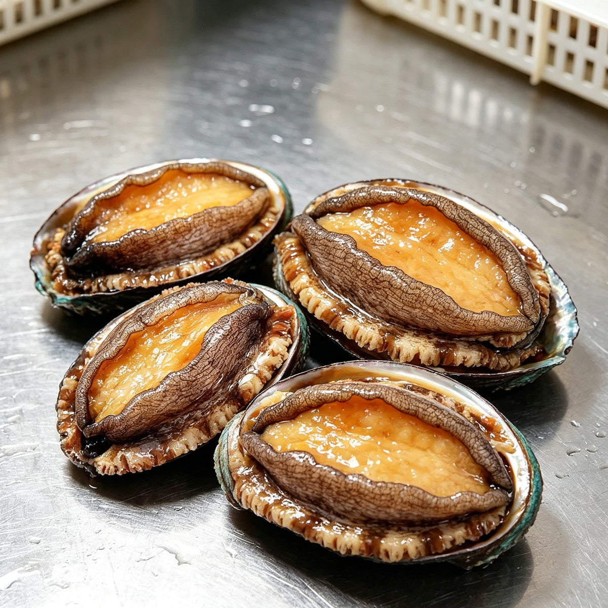 Plump abalone in shells dressed with garlic, chilli and spring onion